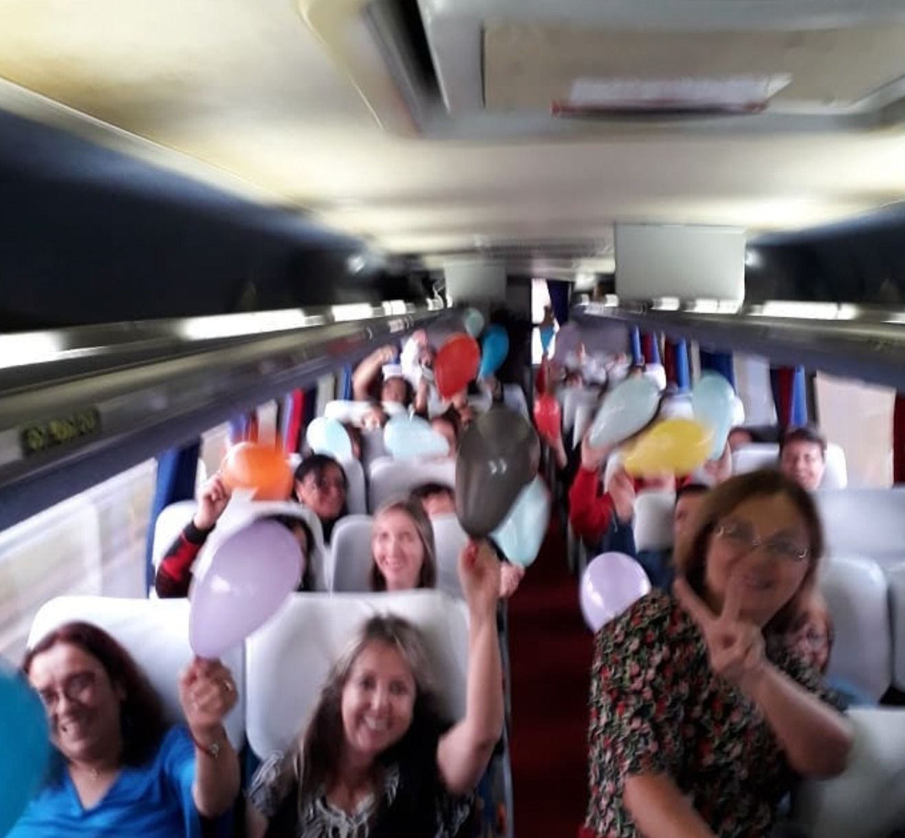 Leia sobre: Como ir para Holambra de ônibus (guia completo, rotas, horários e dicas reais